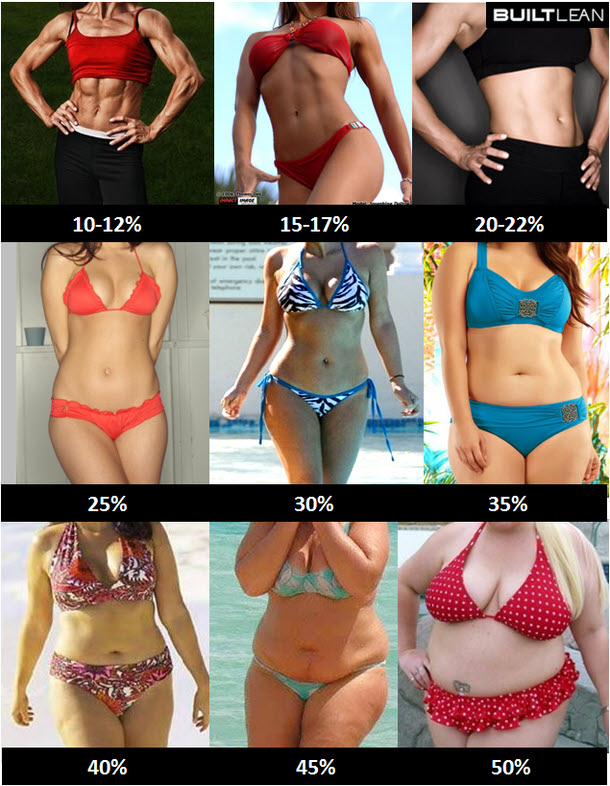 Body fat percentage visual ranges for women